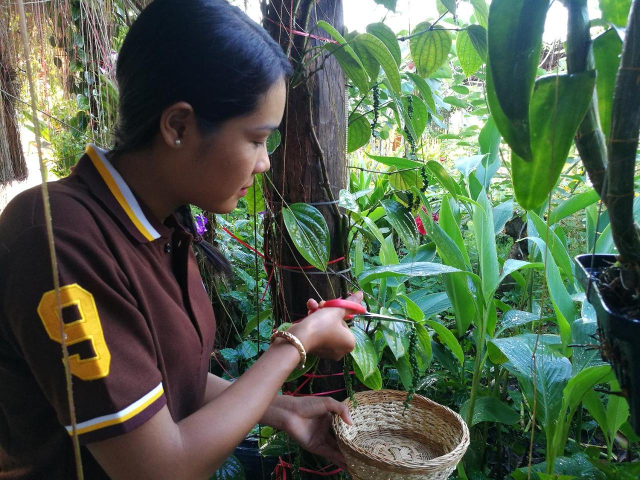 Ravorn Villa Boutique Battambang Luaran gambar
